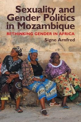 Sexuality and Gender Politics in Mozambique - Signe Arnfred