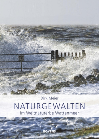 Naturgewalten im Weltnaturerbe Wattenmeer - Dirk Meier