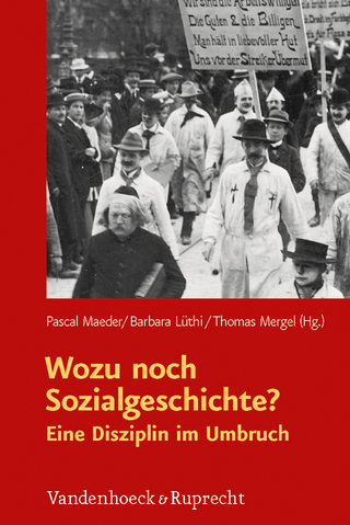 Wozu noch Sozialgeschichte? - Pascal Maeder; Barbara Lüthi; Thomas Mergel