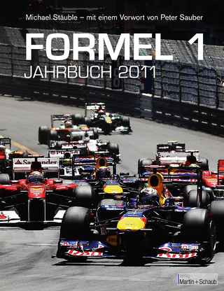 Formel 1 - Michael Stäuble