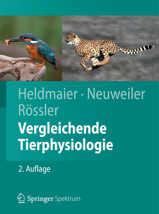 Vergleichende Tierphysiologie - Gerhard Heldmaier; Gerhard Neuweiler; Wolfgang Rössler