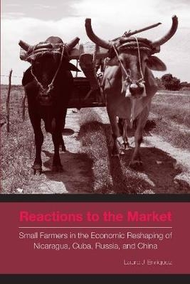 Reactions to the Market - Laura J. Enriquez