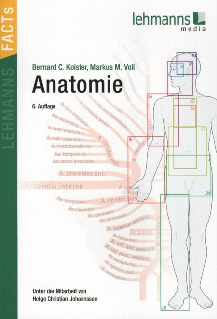 Anatomie - Bernhard Kolster, Markus M. Voll
