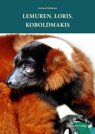 Lemuren, Loris, Koboldmakis - Gerhard Hoffmann