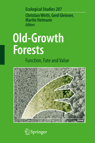 Old-Growth Forests - Christian Wirth; Gerd Gleixner; Martin Heimann