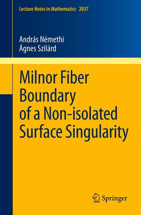 Milnor Fiber Boundary of a Non-isolated Surface Singularity - András Némethi, Ágnes Szilárd