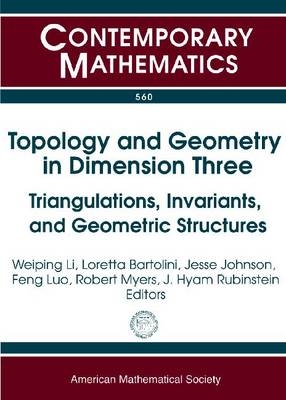 Topology and Geometry in Dimension Three - Bartolini Li