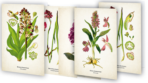 Kunstklappkarten "Zauberhafte Orchideen" - 
