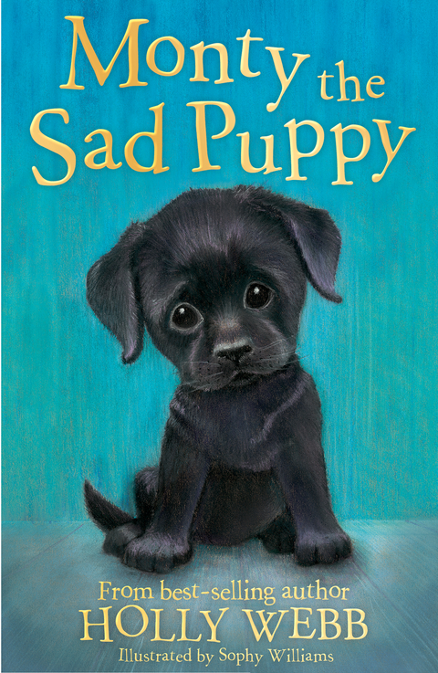 Monty the Sad Puppy - Holly Webb