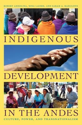 Indigenous Development in the Andes - Robert Andolina; Nina Laurie; Sarah A. Radcliffe