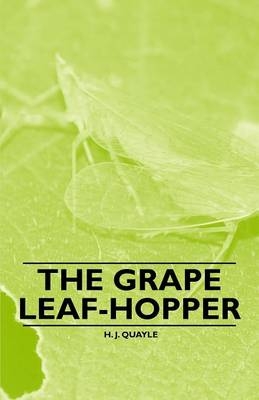The Grape Leaf-Hopper - H. J. Quayle
