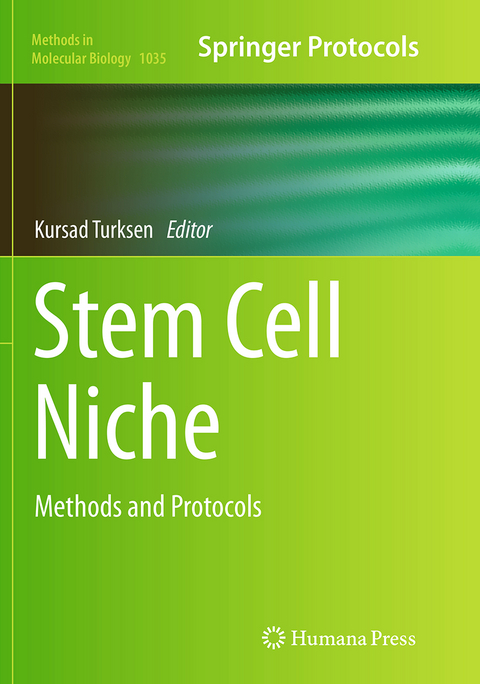 Stem Cell Niche - 