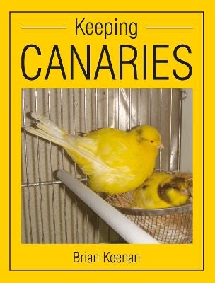 Keeping Canaries - Brian Keenan