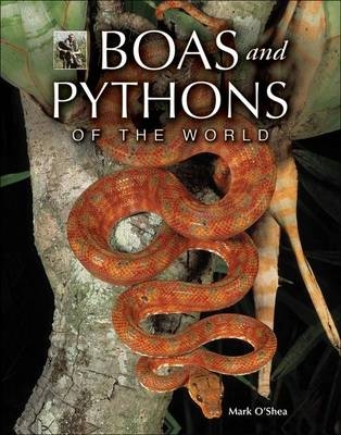 Boas and Pythons of the World - Mark O'Shea