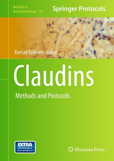 Claudins - 