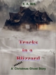 Tracks in a Blizzard - E. A. Birk;  E. A. Birk