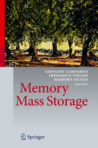 Memory Mass Storage - Giovanni Campardo; Federico Tiziani; Massimo Iaculo