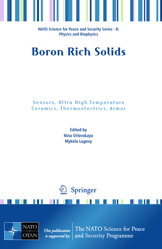 Boron Rich Solids - Nina Orlovskaya; Mykola Lugovy