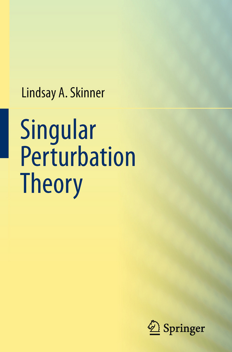 Singular Perturbation Theory - Lindsay A. Skinner