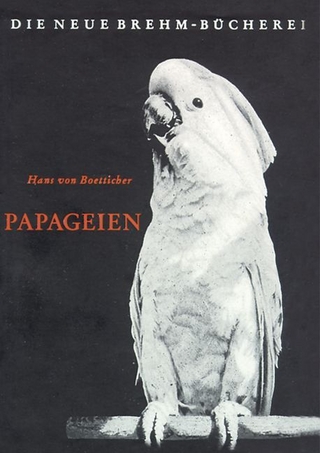 Papageien - Hans von Boetticher
