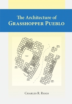 Architecture Of Grasshopper Pueblo, The - Charles Riggs