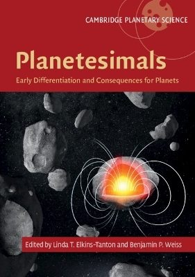 Planetesimals - Linda T. Elkins-Tanton; Benjamin P. Weiss