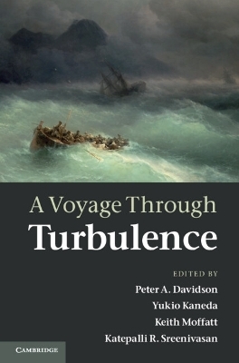 A Voyage Through Turbulence - Peter A. Davidson; Yukio Kaneda; Keith Moffatt; Katepalli R. Sreenivasan