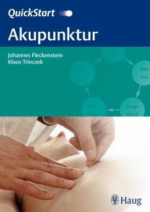 QuickStart Akupunktur - Johannes Fleckenstein, Klaus Trinczek