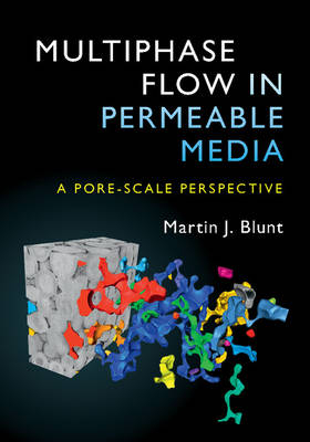 Multiphase Flow in Permeable Media - Martin J. Blunt
