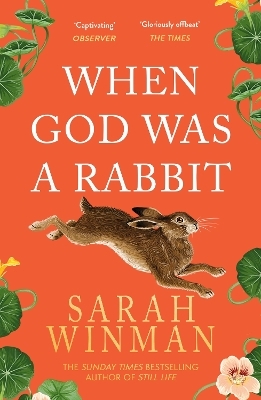 When God was a Rabbit - Sarah Winman