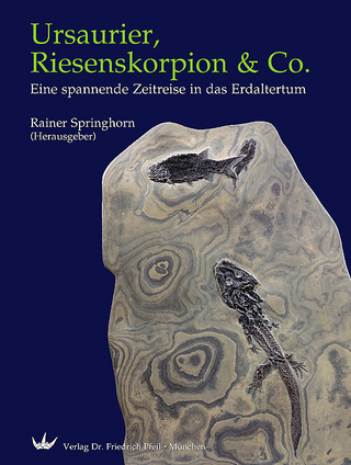 Ursaurier, Riesenskorpion & Co. - Rainer Springhorn