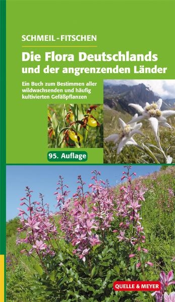 Schmeil/Fitschen: Die Flora Deutschlands und der angrenzenden Länder - Siegmund Seybold