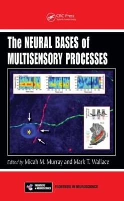 The Neural Bases of Multisensory Processes - Micah M. Murray; Mark T. Wallace