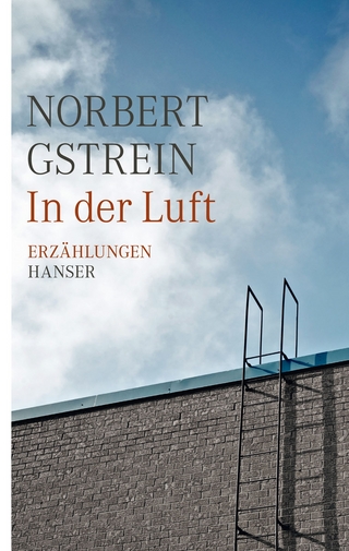 In der Luft - Norbert Gstrein