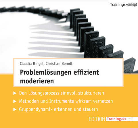Problemlösungen effizient moderieren (Trainingskonzept) - Christian Berndt, Claudia Bingel
