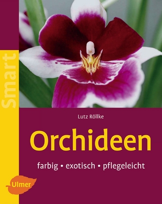 Orchideen - Lutz Röllke
