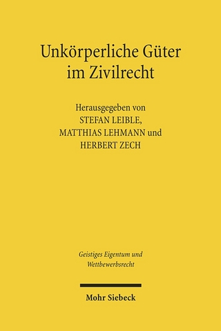 Unkörperliche Güter im Zivilrecht - Matthias Lehmann; Stefan Leible; Herbert Zech