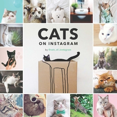 Cats On Instagram - 