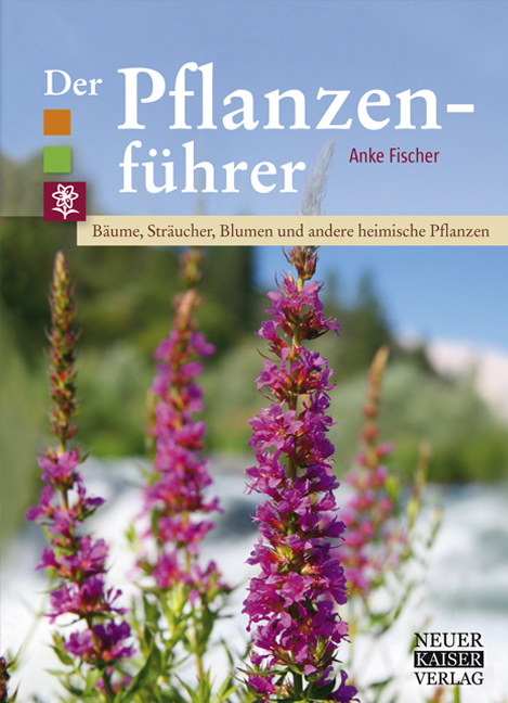 Der Pflanzenführer - Anke Fischer