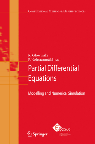 Partial Differential Equations - Roland Glowinski; Pekka Neittaanmäki