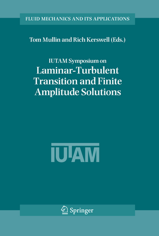 IUTAM Symposium on Laminar-Turbulent Transition and Finite Amplitude Solutions - Tom Mullin; R. R. Kerswell