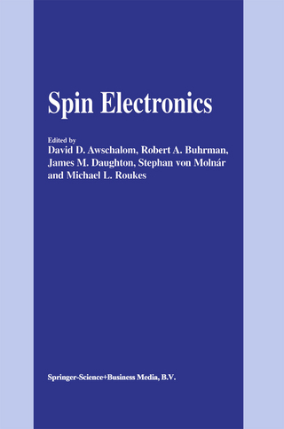 Spin Electronics - David D. Awschalom; Robert A. Buhrman; James M. Daughton; Stephan von Molnár; Michael L. Roukes