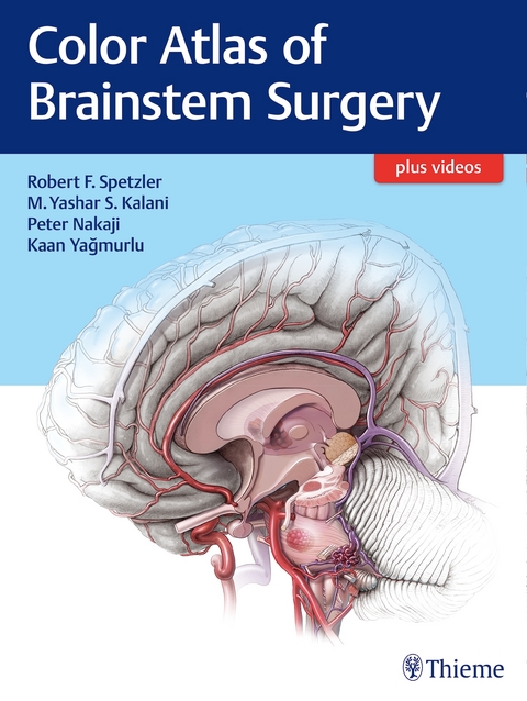 Color Atlas of Brainstem Surgery - 
