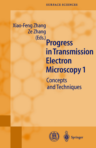 Progress in Transmission Electron Microscopy 1 - Xiao-Feng Zhang; Ze Zhang