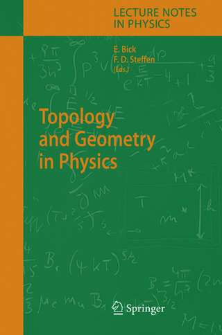 Topology and Geometry in Physics - Eike Bick; Frank Daniel Steffen