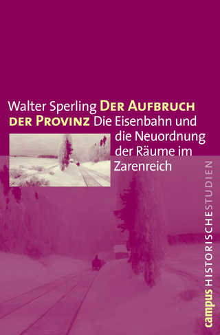 Der Aufbruch der Provinz - Walter Sperling