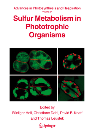Sulfur Metabolism in Phototrophic Organisms - Rüdiger Hell; Christiane Dahl; David B. Knaff; Thomas Leustek