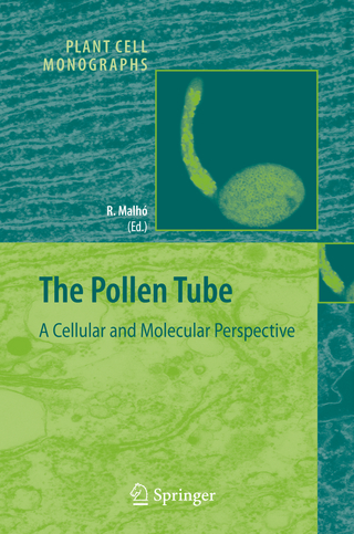 The Pollen Tube - Rui Malhó