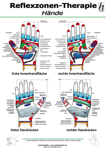 Reflexzonen-Therapie Poster - Hände DIN A2 - 