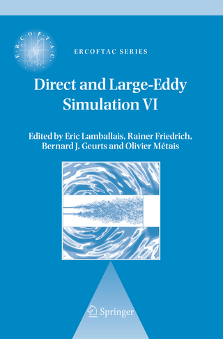 Direct and Large-Eddy Simulation VI - E. Lamballais; Rainer Friedrich; Bernard J. Geurts; Olivier Métais